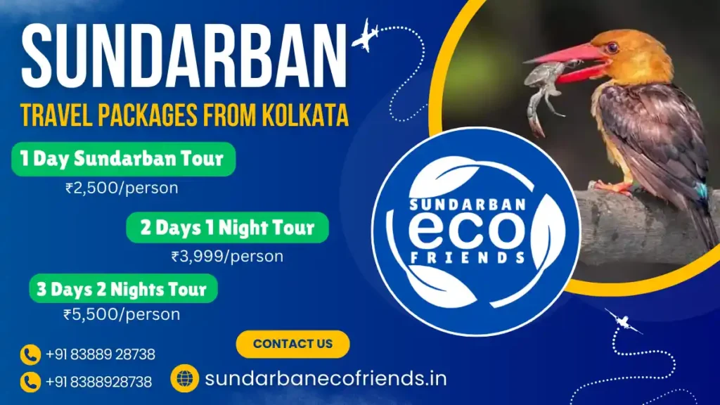Sundarban Tour Package from Kolkata