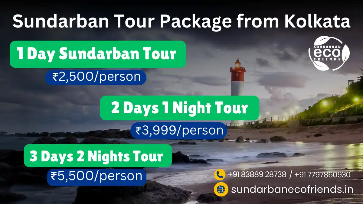 sundarban tour 2 night 3 days package cost
